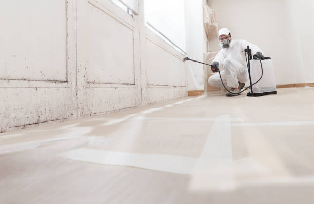 24/7 Emergency Black Mold Remediation experts in Lake Zurich, IL
